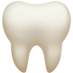 Dental Insurance